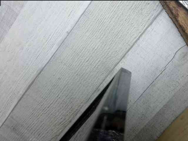 Rainie webcam
