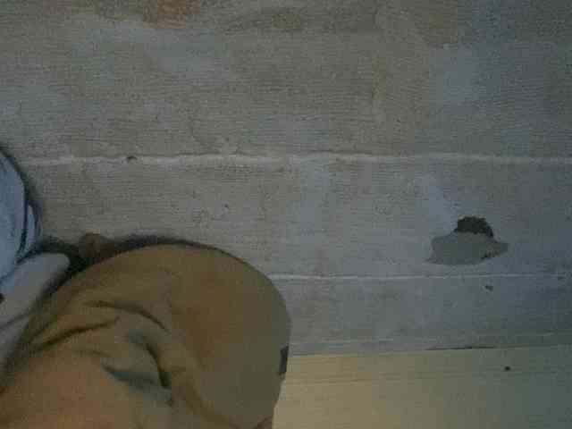 Rainie webcam
