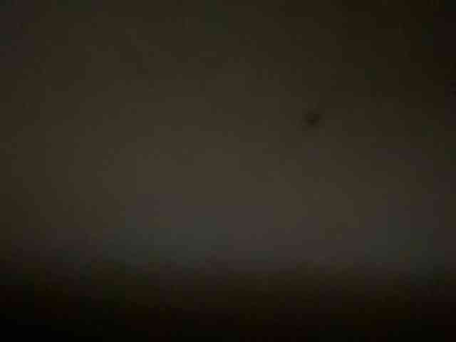 Rainie webcam