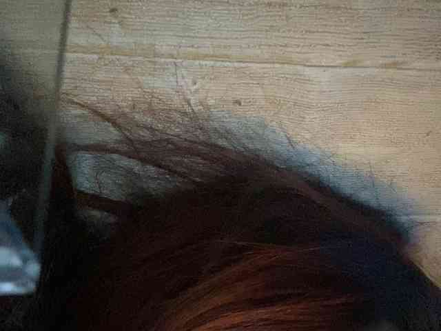 Rainie webcam