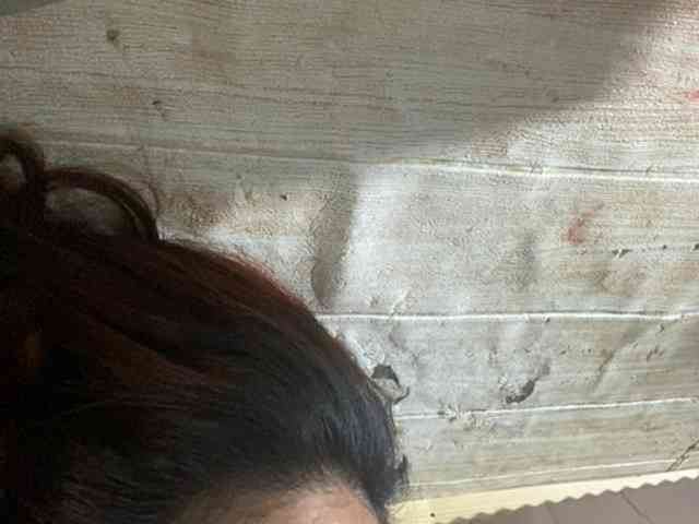 Rainie webcam