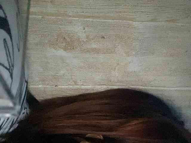 Rainie