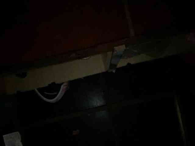 Rainie webcam