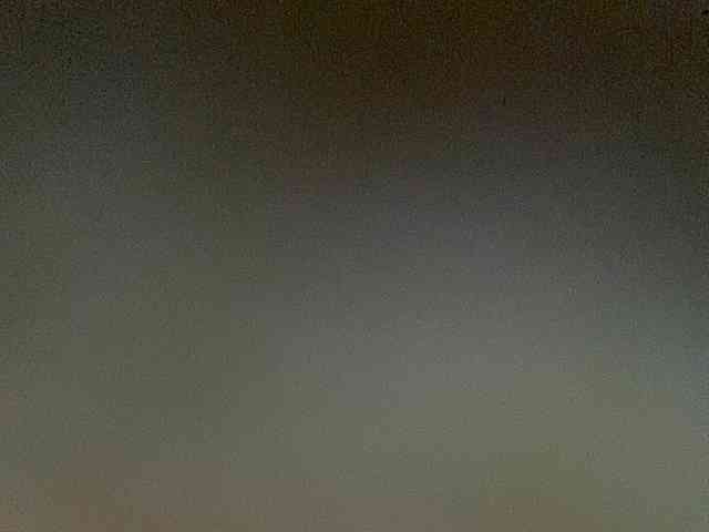 Rainie webcam
