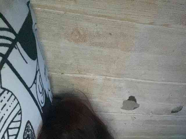 Rainie webcam