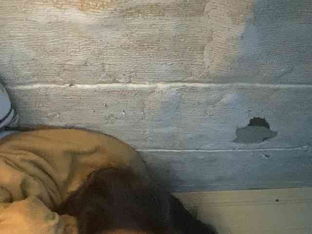 Rainie