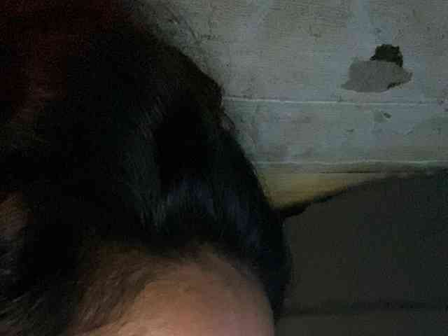 Rainie webcam