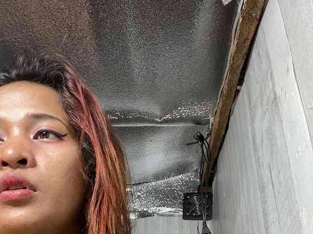 Rainie webcam