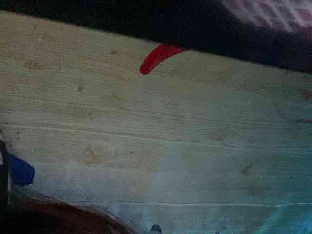 Rainie webcam
