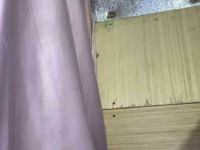 Rainie webcam