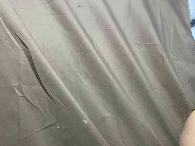 Rainie webcam