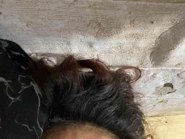 Rainie