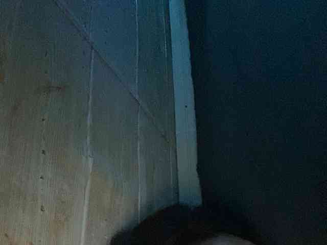 Rainie webcam