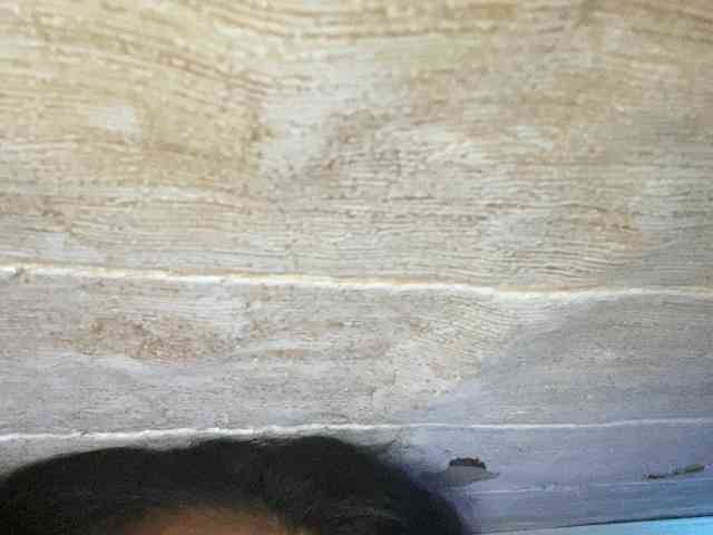 Rainie