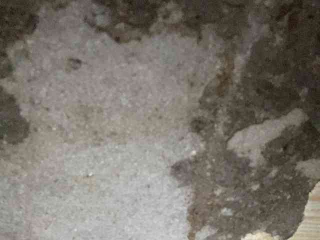 Rainie webcam