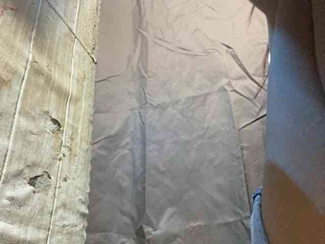 Rainie webcam