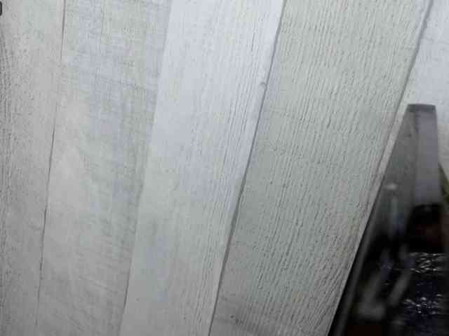 Rainie webcam