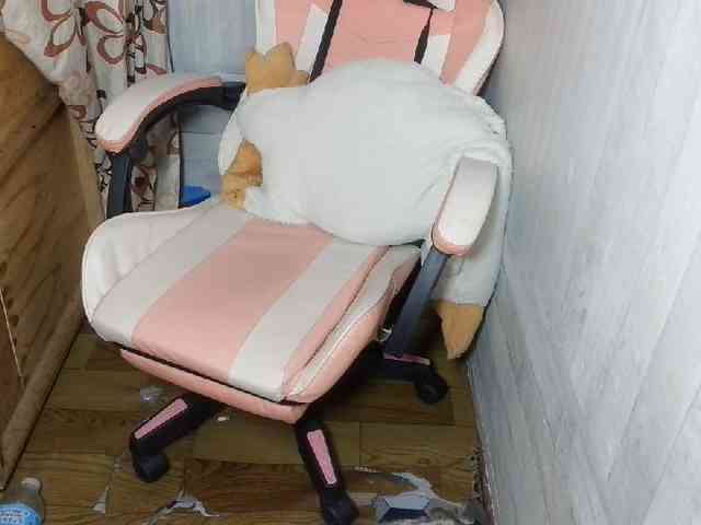 Rainie webcam
