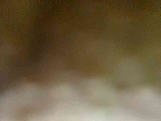 Rainie webcam