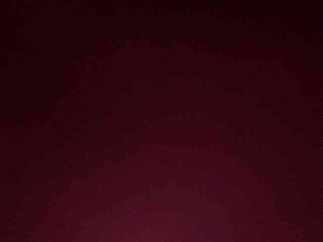 Rainie webcam