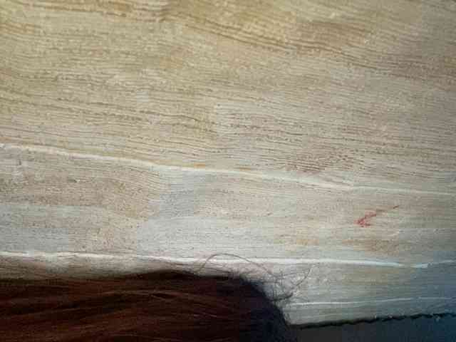 Rainie webcam