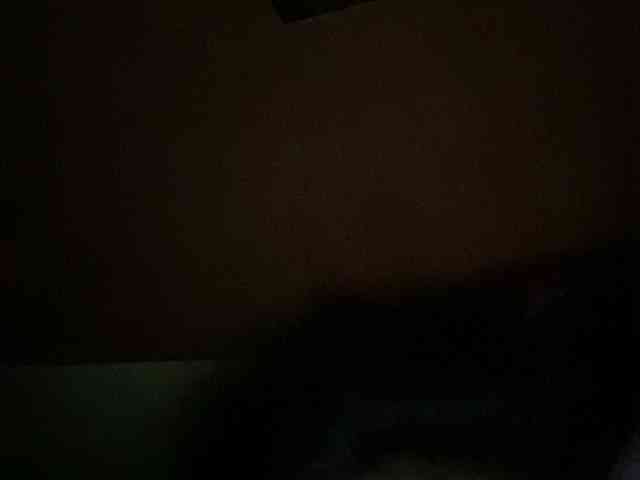 Rainie webcam