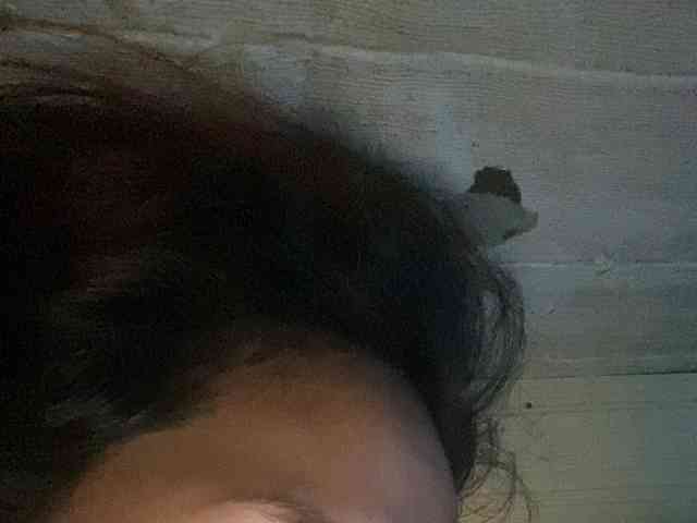 Rainie webcam