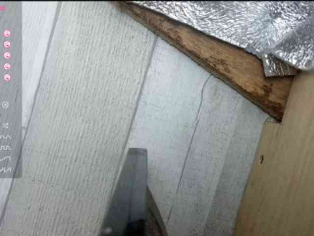 Rainie webcam