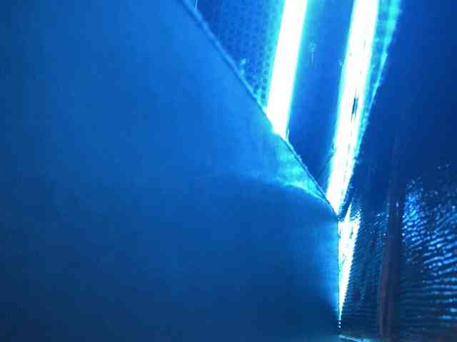 Rainie webcam