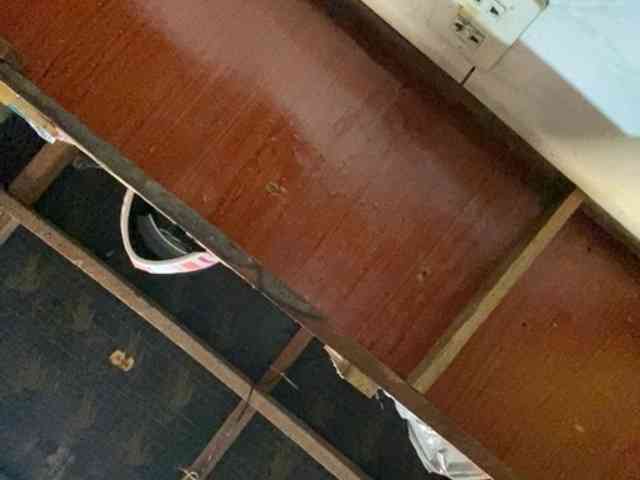 Rainie webcam