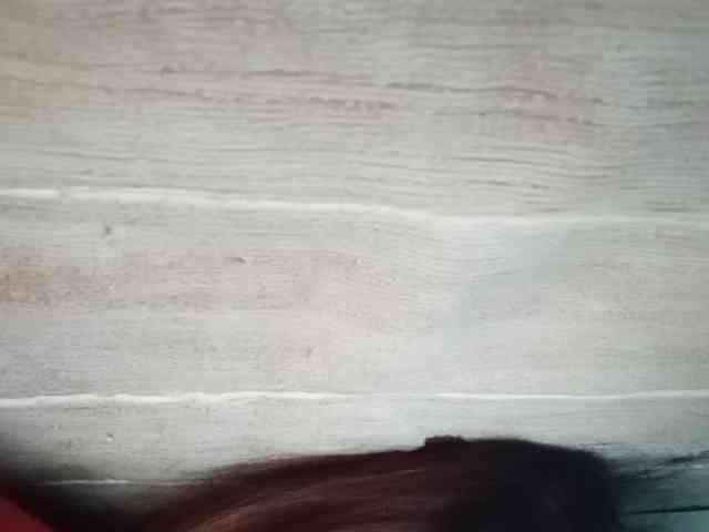 Rainie webcam