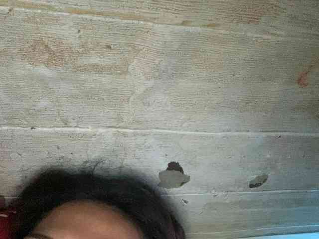Rainie
