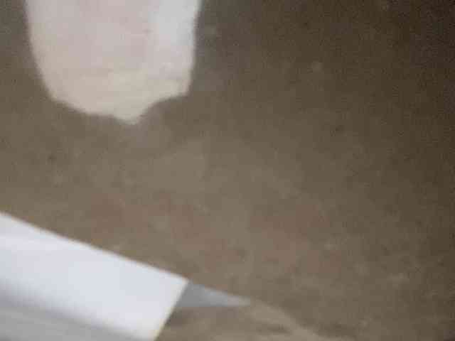 Rainie webcam