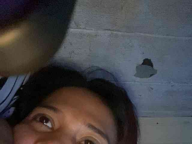Rainie webcam