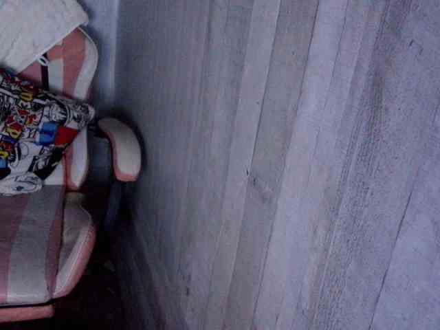 Rainie webcam