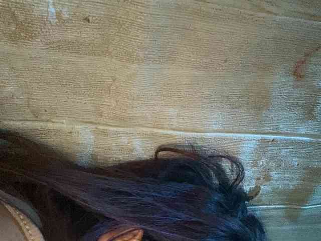 Rainie webcam