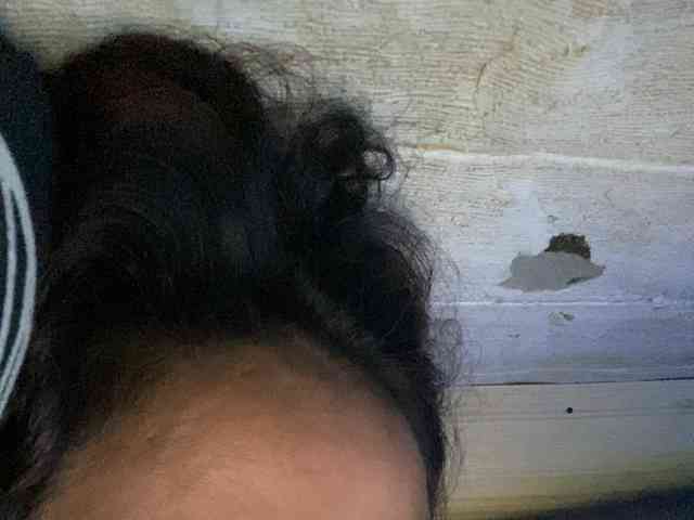 Rainie webcam