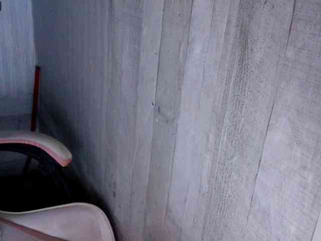 Rainie