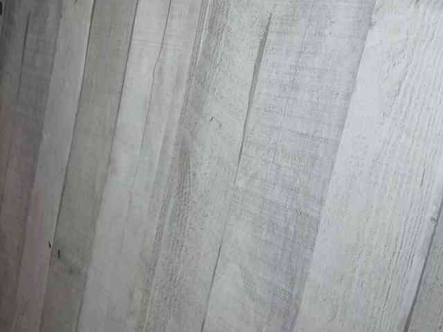 Rainie webcam