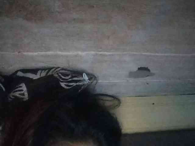 Rainie webcam