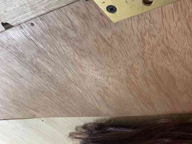 Rainie webcam