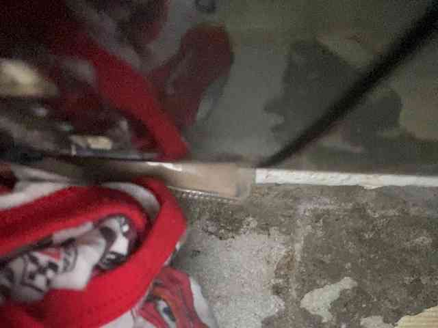 Rainie webcam