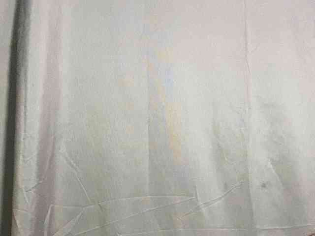 Rainie webcam