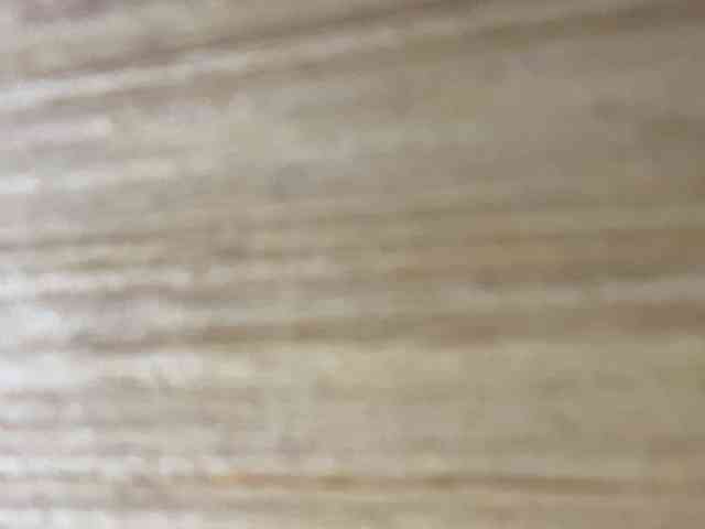 Rainie webcam