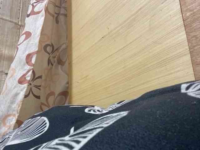 Rainie webcam