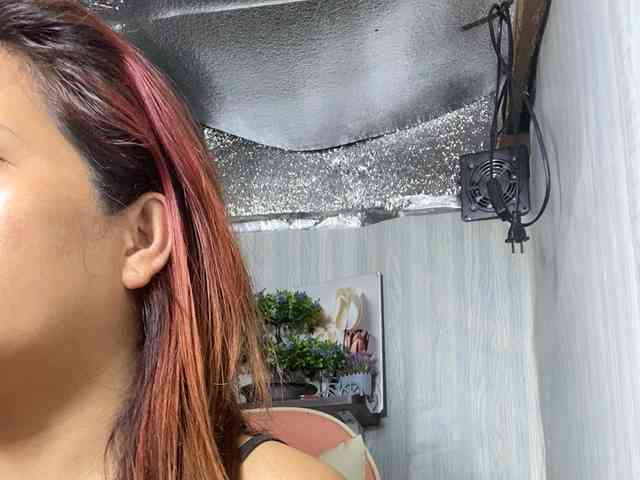 Rainie webcam