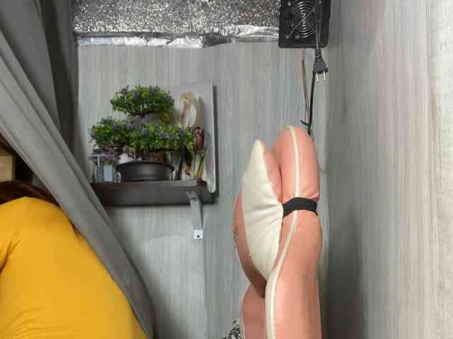 Rainie webcam