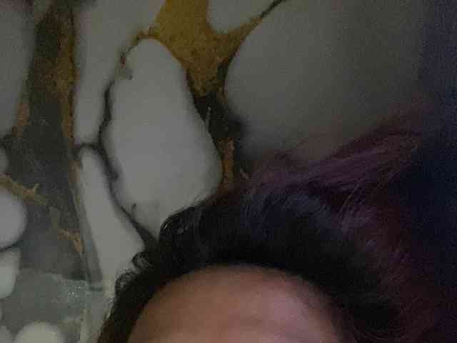 Rainie webcam