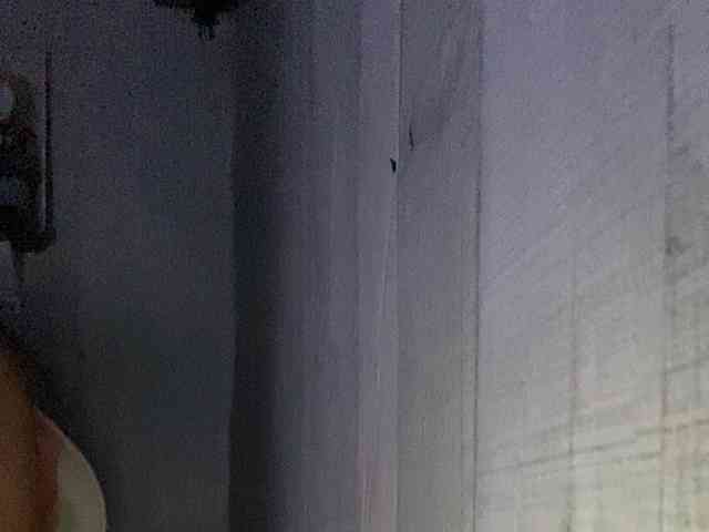 Rainie webcam
