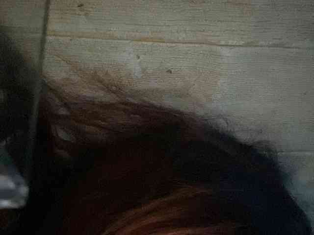 Rainie webcam